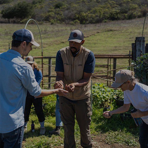 Custom Team Training